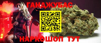 трава Гатчина