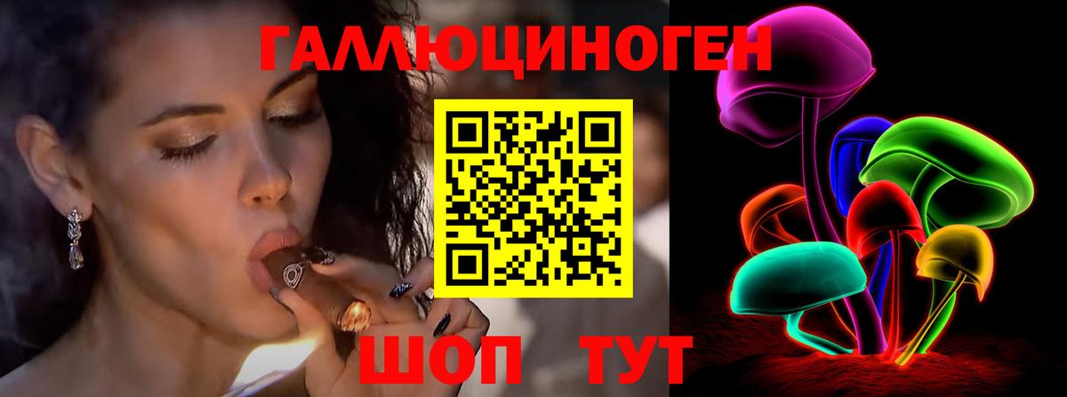 Галлюциногенные грибы Psilocybine cubensis Мыски
